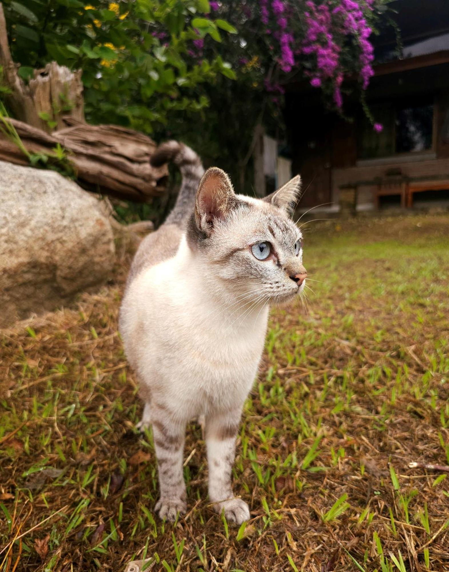 Pai Kiniman Resort エクステリア 写真